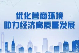 关于印发《重庆市税务系统2019年进一步优化税收营商环境重点任务年度工作方案》的通知
